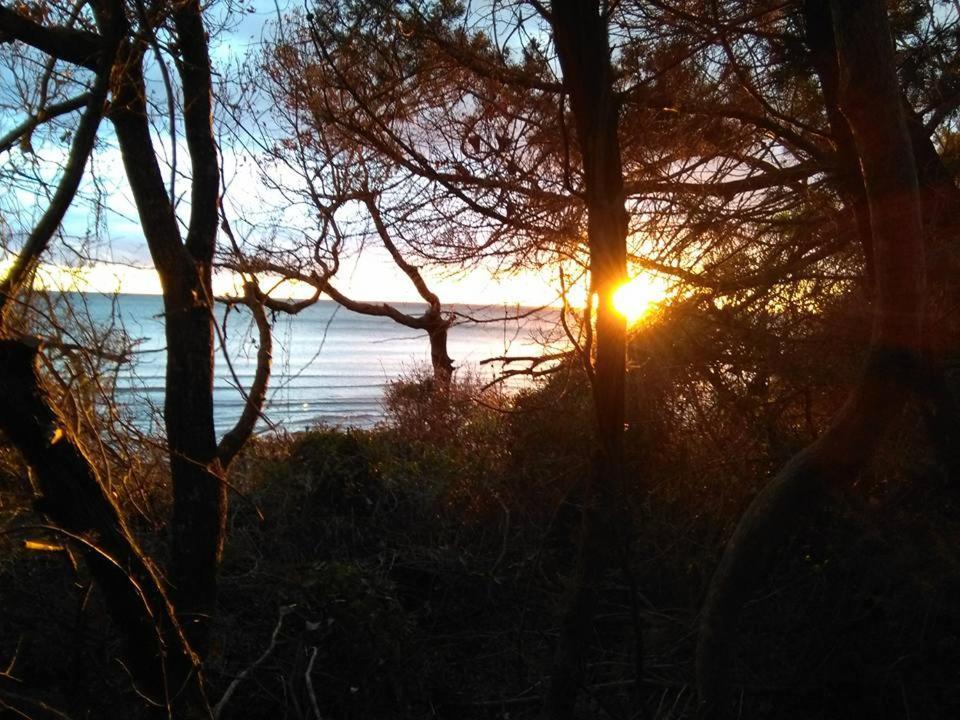 Golfo Di Maremma Village Aparthotel 2*
